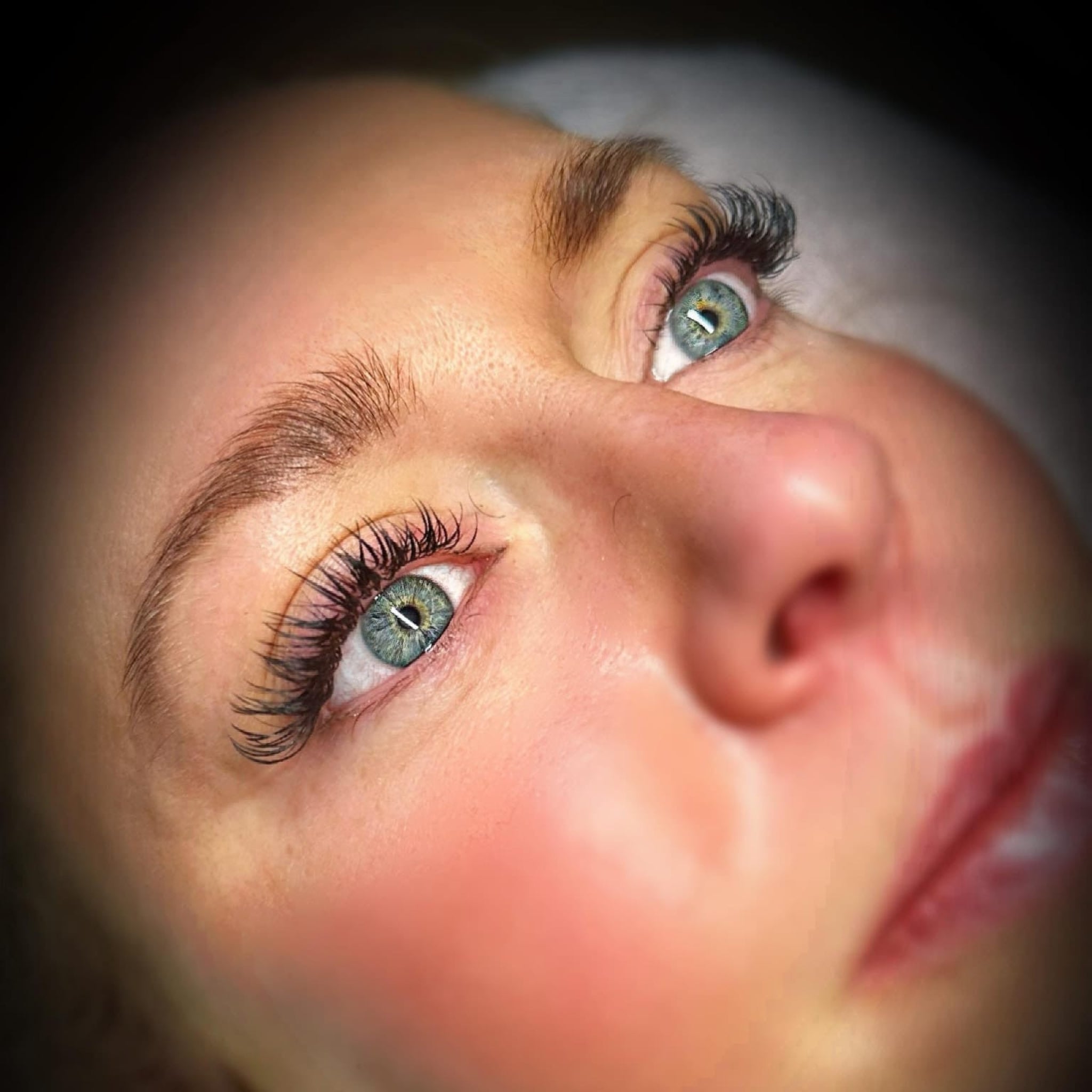 ladybuglashes lashglue lashtrays lashadhesive glueretention cloverlashes wlashes yylashes premades promades lashes